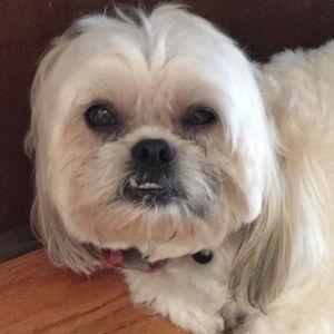 Meet your Posher, Grantley